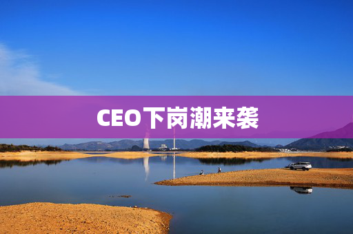 CEO下岗潮来袭