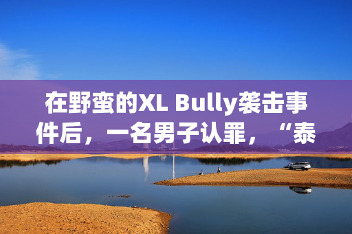 在野蛮的XL Bully袭击事件后，一名男子认罪，“泰坦”狗将邻居咬死